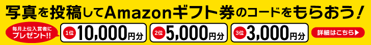 写真を投稿してアマゾンギフト券のコードをもらおう！