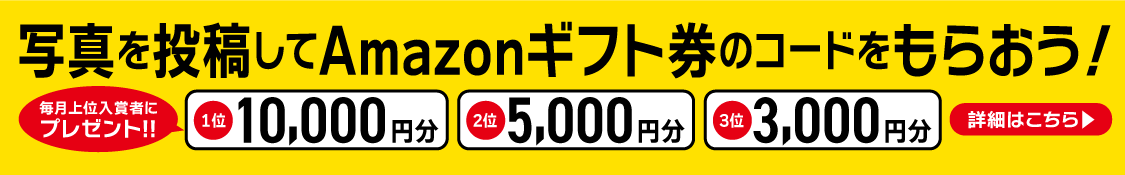 写真を投稿してアマゾンギフト券のコードをもらおう！